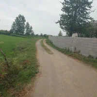 ۷پلاک زمین سند دار باقیمت عالی بفروش میرسد|فروش زمین و ملک کلنگی|طاهرگوراب, |دیوار