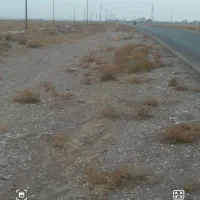 زمین کشاورزی|فروش زمین و ملک کلنگی|اسفراین, |دیوار