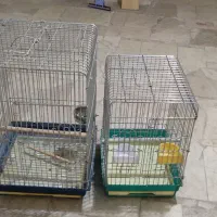 دو عدد قفس کاسکو