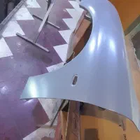 گلگیر ۲۰۶ راننده