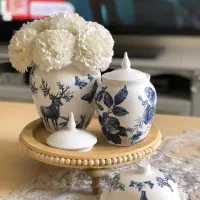 جینجر قلم ابی کار دست