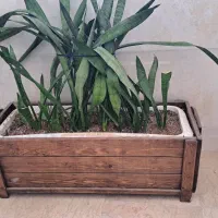 گلدان چوبی ۳۰×۸۰
