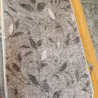 پادری