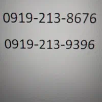 فروش 2 خط رند صفر اعتباری 0919 تهران