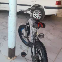 دوچرخه۲۰ اسپرت خشک