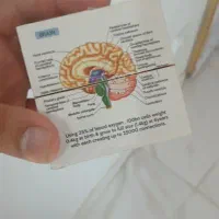 مکعب بازی وجهت یادگیری دانش اموزان ودانشجویان