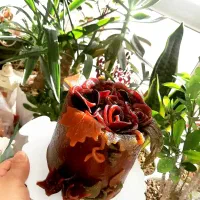 کیک لواشکی ولن تاین|خوردنی و آشامیدنی|قم, انسجام|دیوار