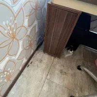 میز مدیریت بسیار تمیز|مبلمان اداری|کرج, گلشهر|دیوار