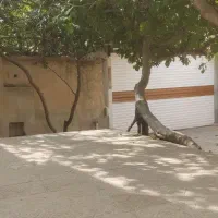 اجاره-منزل-ویلایی-200-متری-جانبازان