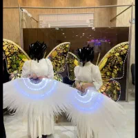 فروش بال فرشته های آینه ای