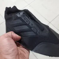 خانم جوان وردست ماهی ۱۲