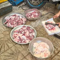 سلاخ قصابی و  کل تهران کم ترین هزینه فروش دام