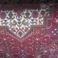 فرش 2متری|فرش|زنجان, |دیوار