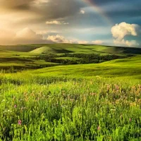 کار آبیاری درختان کار می کنم