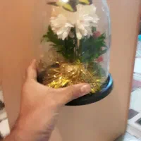 گل شیشه ای|گل مصنوعی|همدان, |دیوار