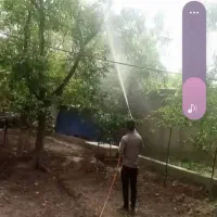 خدمات سم پاشی باغ و باغچه و منازل|خدمات نظافت|بروجن, |دیوار