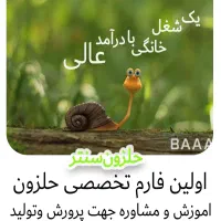 طراحی گرافیک