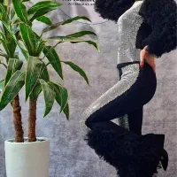 ست بادی و شلوار*سنگ دوزی*مجلسی*مهمانی|لباس|شیراز, ارم|دیوار