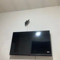 تلویزون