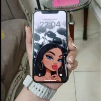 ۱۲پرو ۲۵۶ گیگ|موبایل|بندرعباس, |دیوار