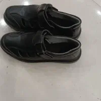 کفش راحتی نو
