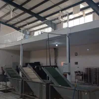 فروش خط شستشویی و  خشک کن کانتینیوس سبزیجات|ماشین‌آلات صنعتی|بادرود, |دیوار