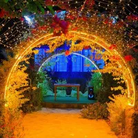 نیروی کافه و رستوران