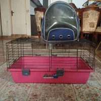 کیف کوله پشتی پت همراه با باکس