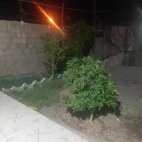 فروش منزل ومغازه داخل حیاط کوچه مدرسه امام علی 3|اجارهٔ مغازه و غرفه|ریگان, |دیوار