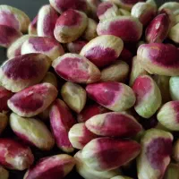 پسته و مغز پسته احمد آقایی امسالی|خوردنی و آشامیدنی|شاهینشهر, گزبرخوار|دیوار