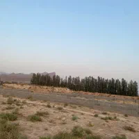 زمین مسکونی ،باغ شهری|فروش زمین و ملک کلنگی|کوهنجان, |دیوار