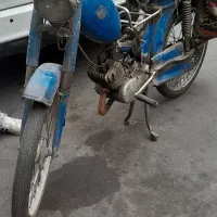 رکس