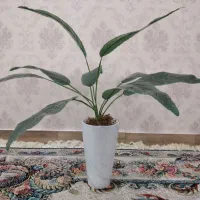 درختچه مصنوعی