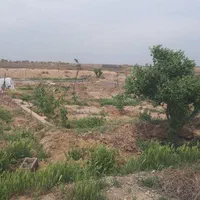 زمین دو قطعه ۵۰۰ متری فنس کشی شده|فروش زمین و ملک کلنگی|تهران, دریاچه شهدای خلیج فارس|دیوار