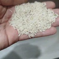 برنج هاشمی گیلان خوش پخت