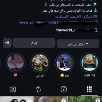 یک پیج ۳۴ گردشگری با فالور واقعی