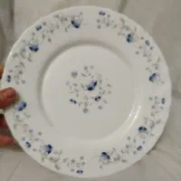 پلوخوری پارس اوپال
