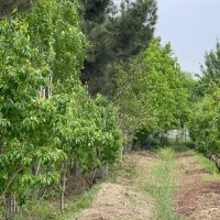 باغ-خونه-فروشی