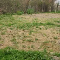 زمین ماده 4 250 متر فروش فوری|فروش زمین و ملک کلنگی|ماکلوان, |دیوار