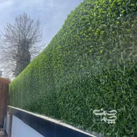 تولید گرینوال و فنس و گل مصنوعی|خدمات باغبانی و درختکاری|کرج, بهشت سکینه|دیوار