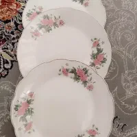 ظروف چینی گل قرمز 5 ستاره|ظروف سرو و پذیرایی|اصفهان, ارزنان|دیوار