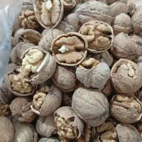 پوست گردو و بادام