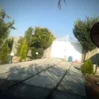 فروش زمین ۱۰۰۰ متری|فروش زمین و ملک کلنگی|شیراز, آبیاری|دیوار
