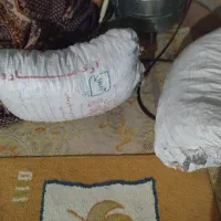 زغال|عمده‌فروشی|دوگنبدان, |دیوار