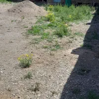 فروش سوله ۲۰۰متری|فروش دفتر صنعتی، کشاورزی، تجاری|مرند, |دیوار