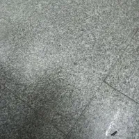 خدمات باغی