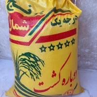 برنج طارم استخوانی کشت دوم
