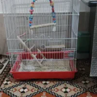 قفس پرنده