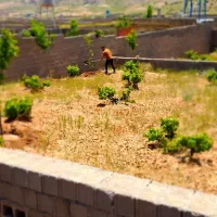 باغ شهری .کلستان|فروش زمین و ملک کلنگی|شیراز, گلستان|دیوار