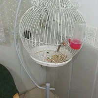 قفس پرنده پایه دار